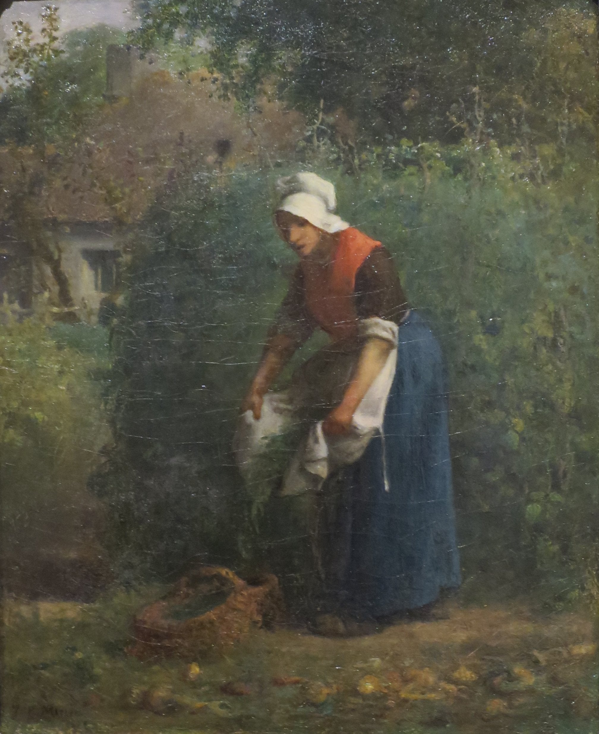 La Cueillette des haricots - Jean-François Millet