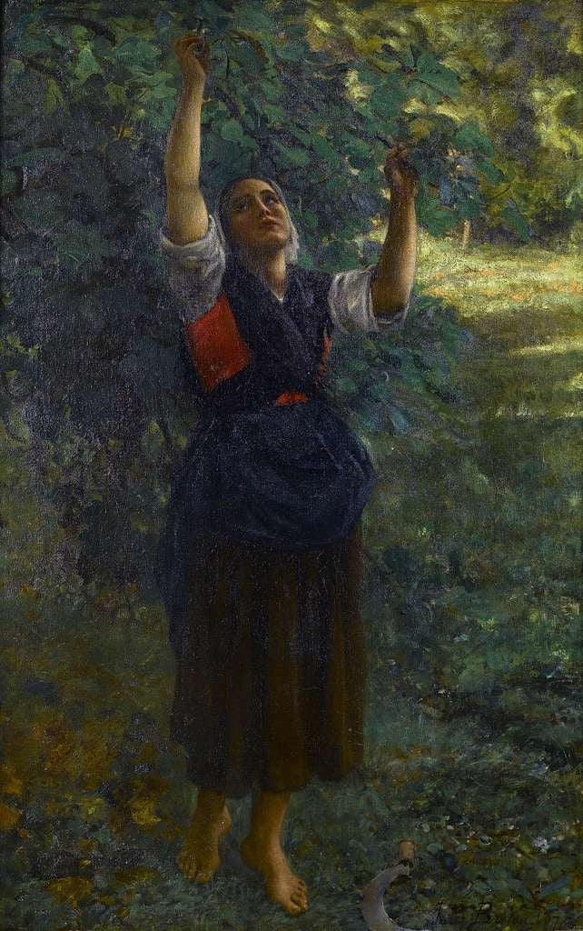 Fille cueillant des figues - Jules Breton