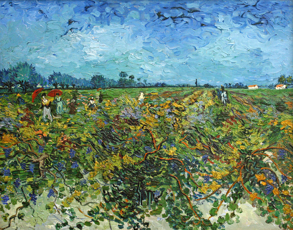 Vincent van Gogh, La Vigne verte, 1888
