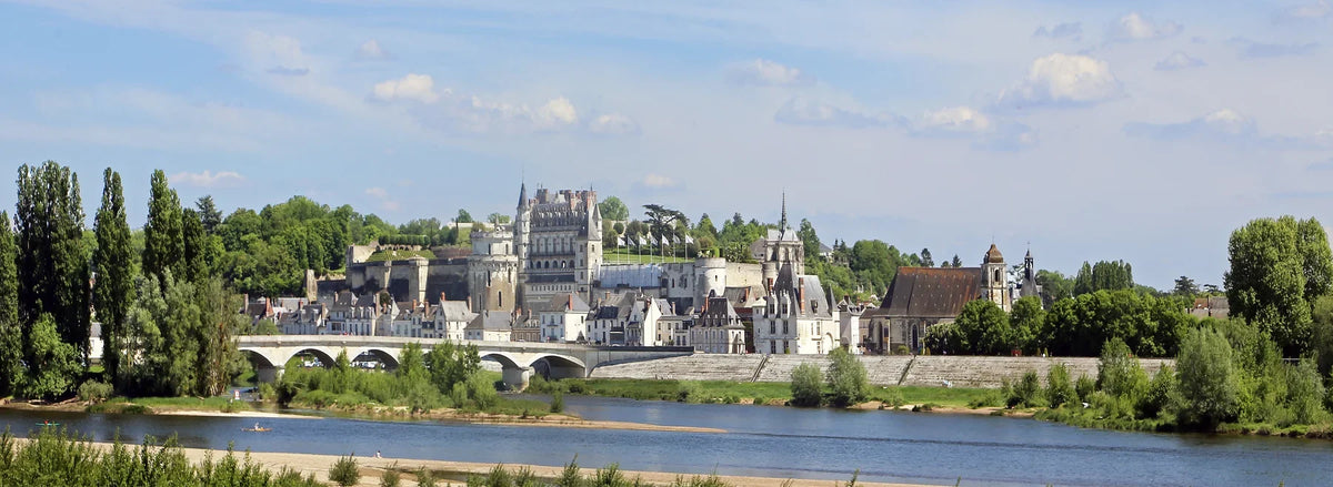 Panorama du château royal d’Amboise dominant la Loire