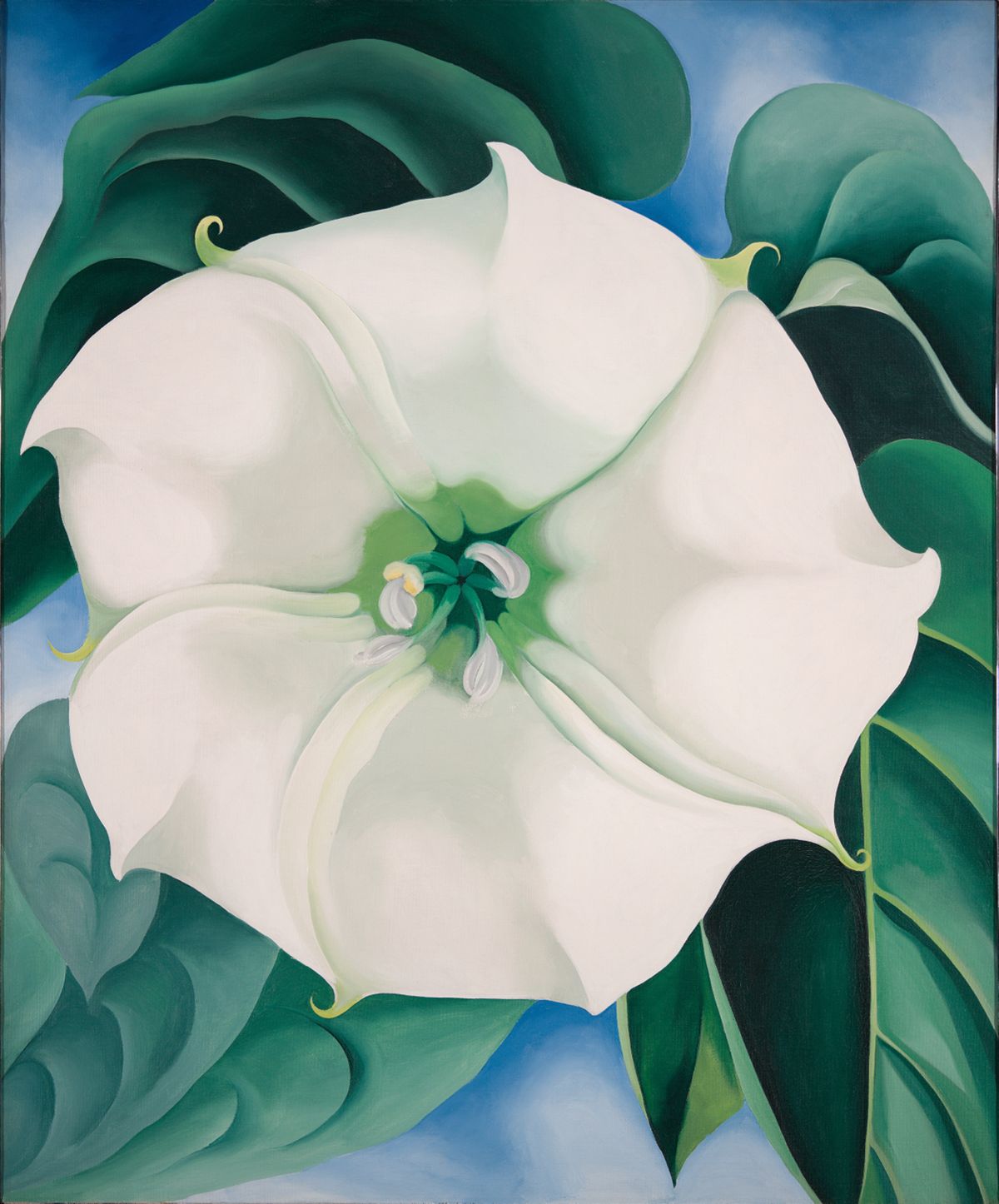 Jimson Weed, peinture de Georgia O’Keeffe — Crystal Bridges Museum of American Art