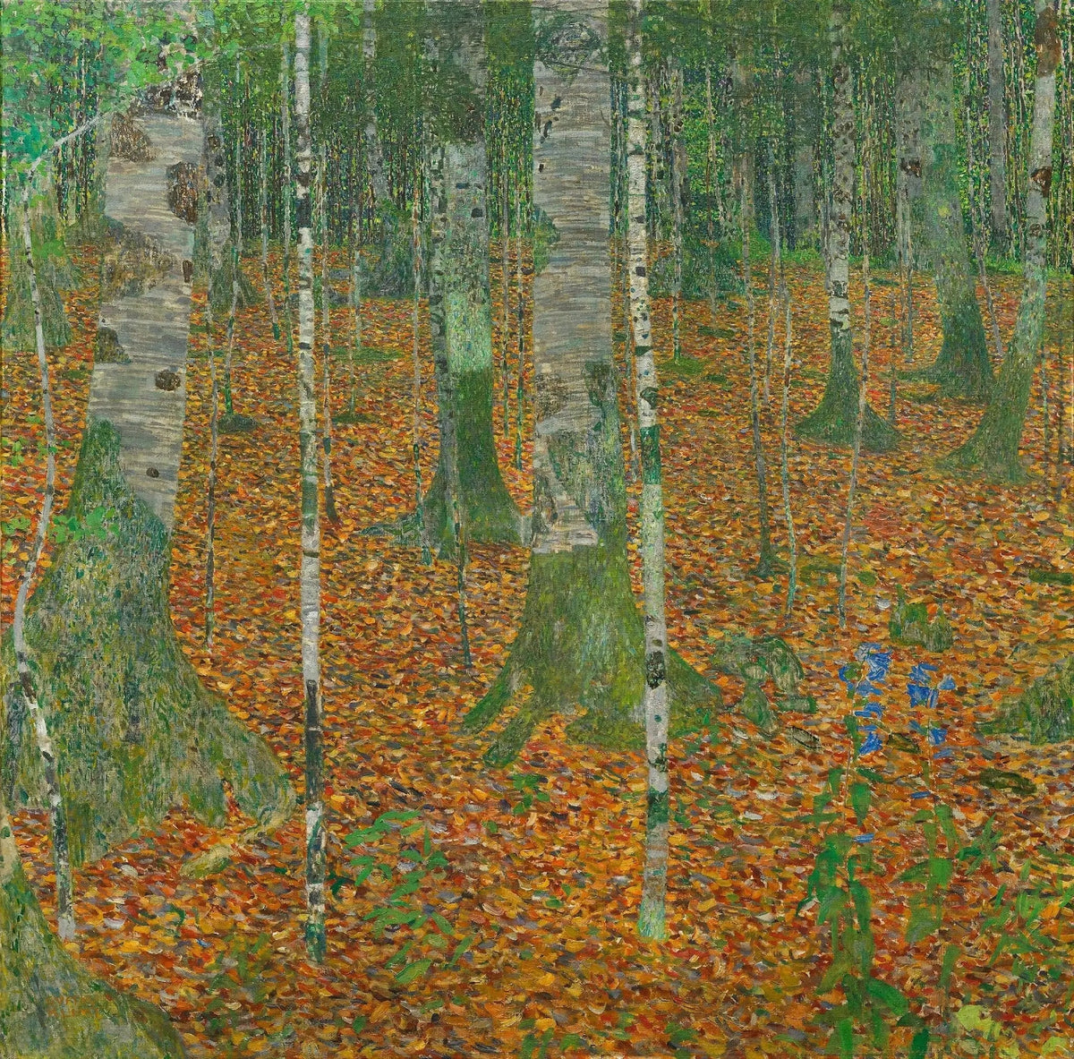 Forêt de bouleaux de Gustav Klimt, vue complète du tableau de 1903