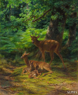 روزا بونور