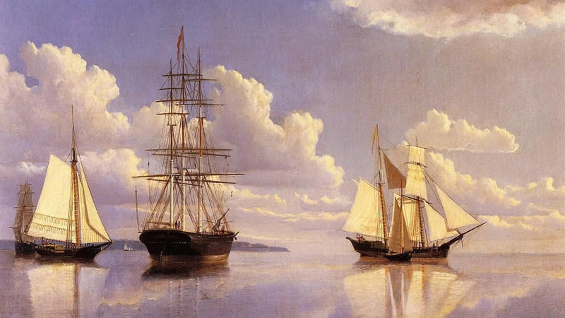 ويليام برادفورد