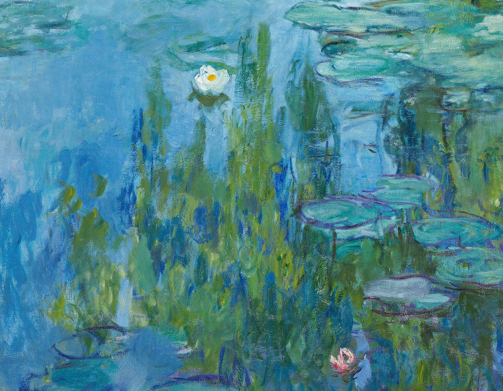 Détail de la fleur blanche et des reflets du saule dans les Nymphéas