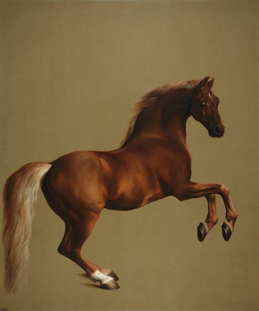 Whistlejacket - George Stubbs - Reproductions de tableaux et peintures haut de gamme