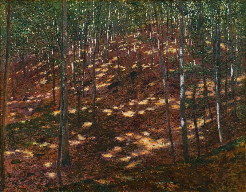 Soleil dans la forêt - Antonín Slavíček