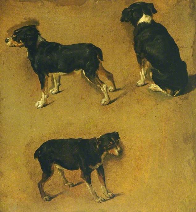 Études sur un chien - Adriaen van de Velde