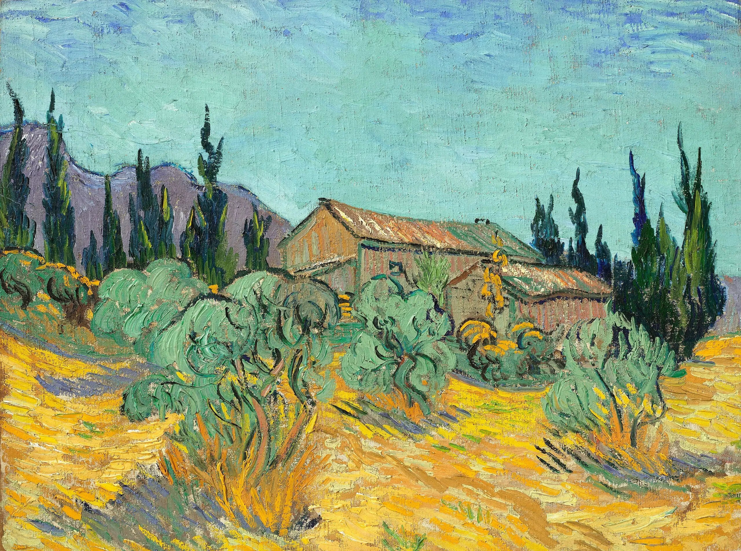 Cabanes de bois parmi les oliviers et cyprès - Vincent van Gogh - Alpha Reproduction