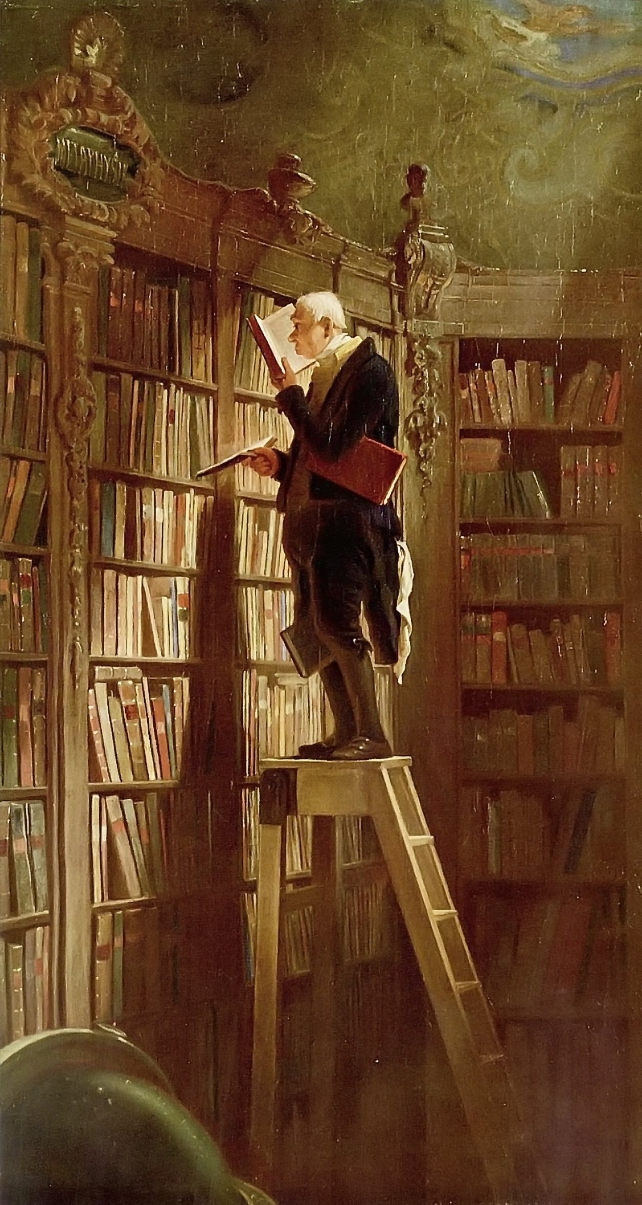 جرذ المكتبة، تفاصيل - كارل سبينتويغ