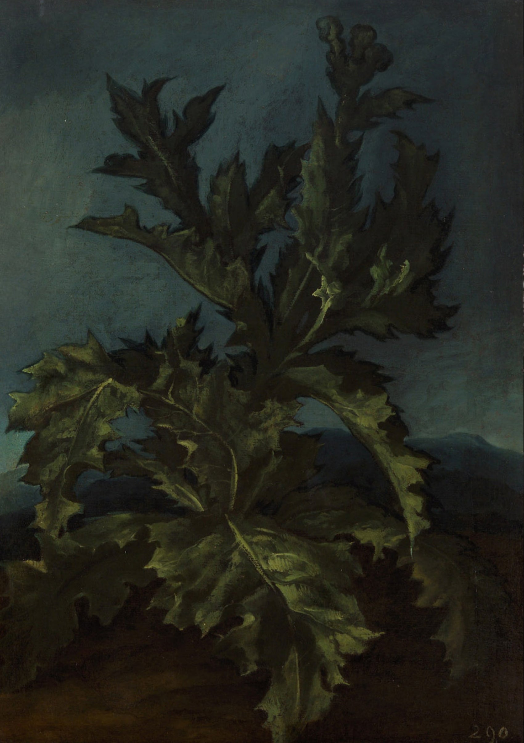 Chardon - Carlo Dolci