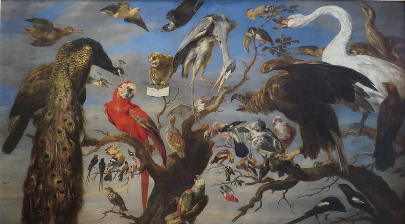 Concert des oiseaux - Frans Snyders