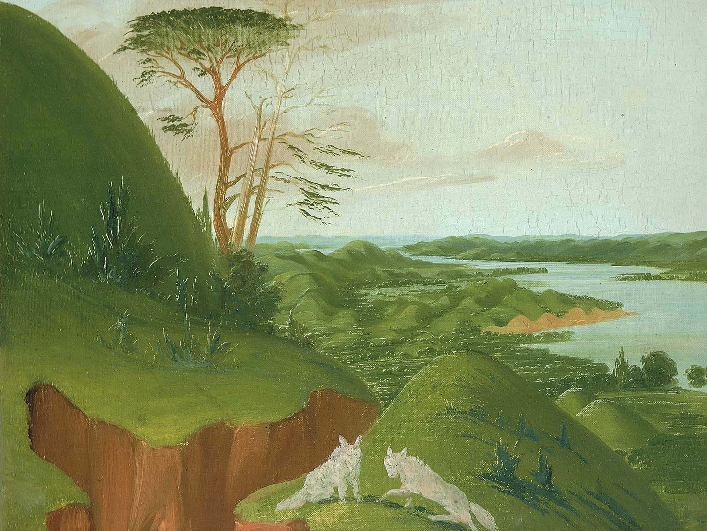Falaises fluviales avec des loups blancs au premier plan, Haut-Missouri - George Catlin