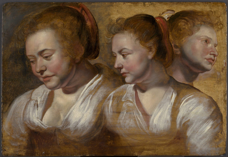 Trois études sur une jeune femme - Jacob Jordaens1