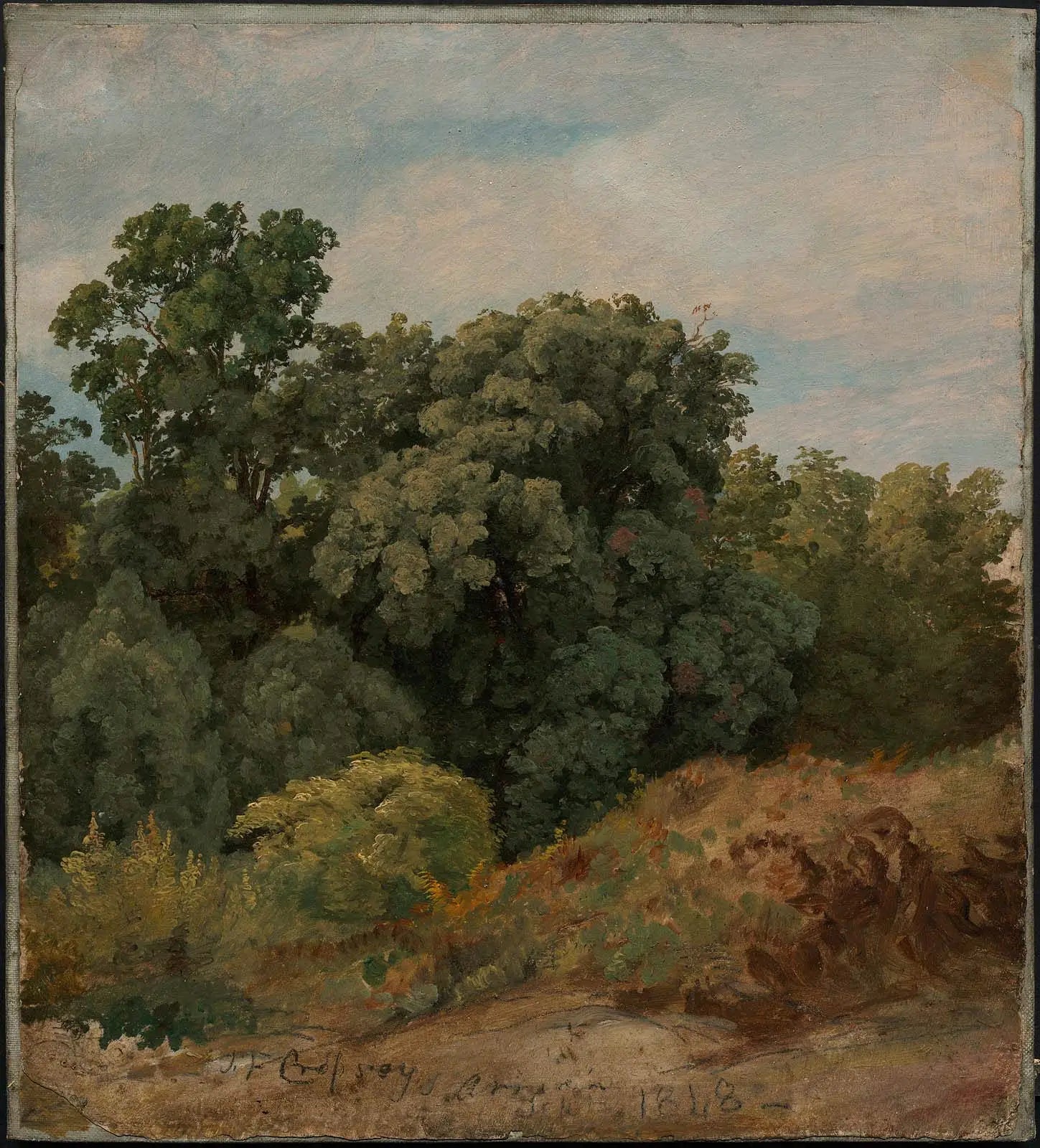 Étude d’un groupe d’arbres - Jasper Francis Cropsey - Alpha Reproduction