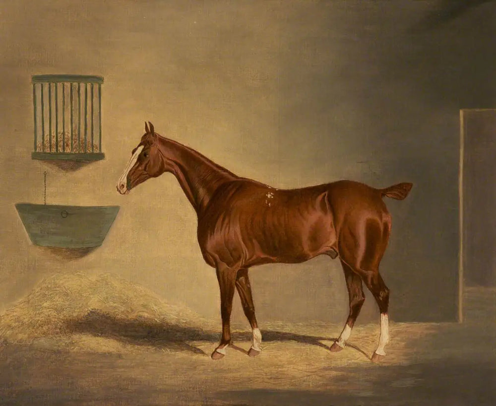 Un cheval alezan dans une écurie - John Frederick Herring Sr. - Alpha Reproduction