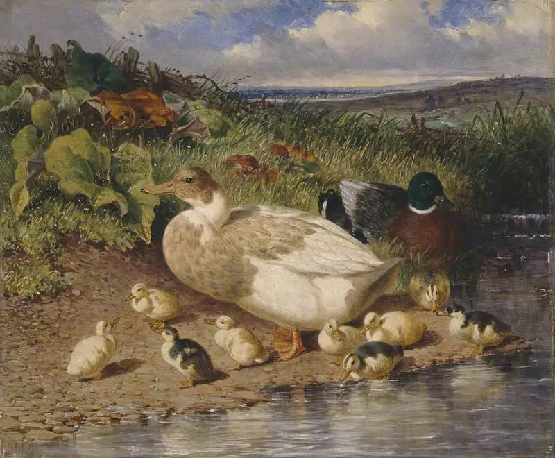 Canards au bord d’un ruisseau - John Frederick Herring Sr. - Alpha Reproduction