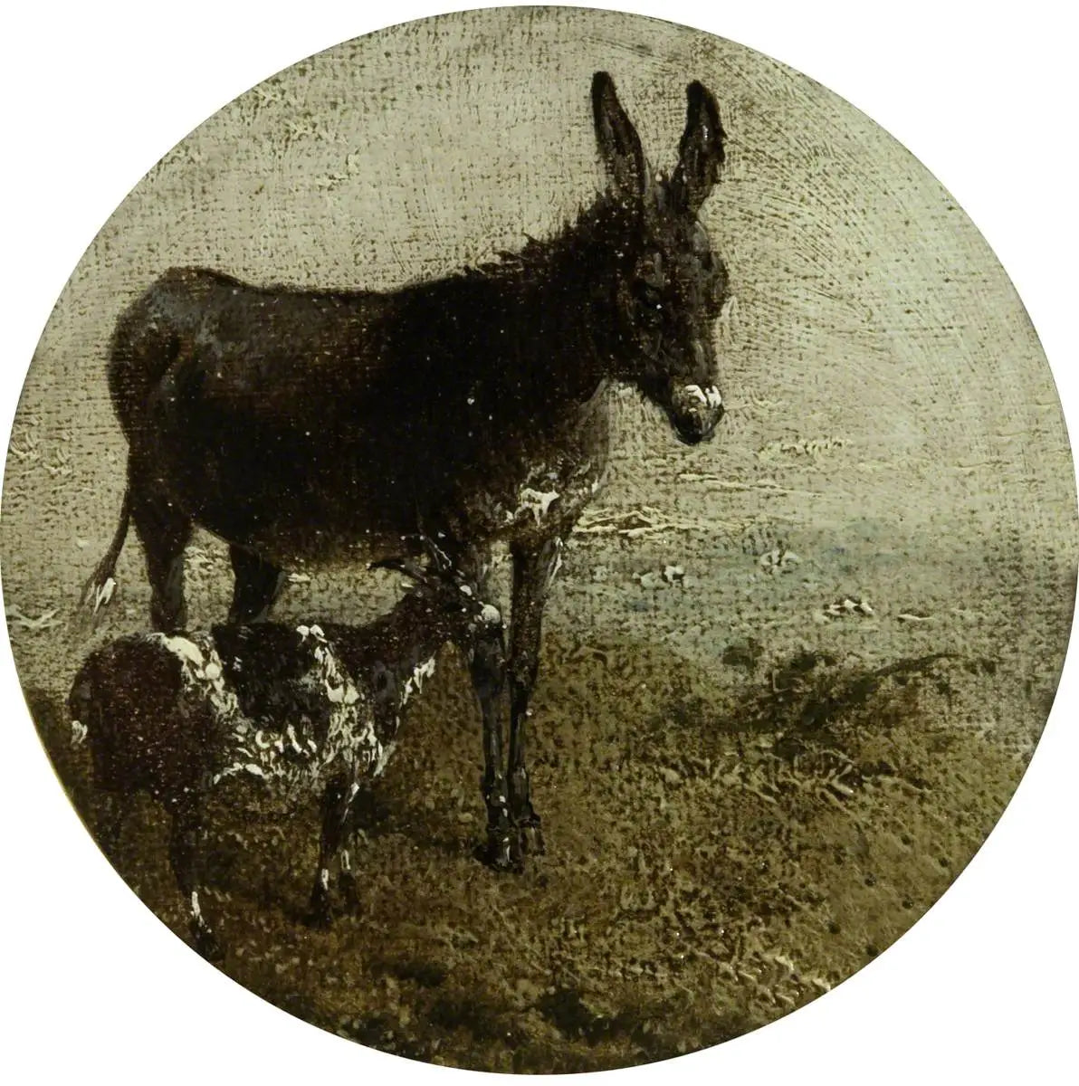 Huit scènes de ferme circulaires: âne et chèvre - John Frederick Herring Sr. - Alpha Reproduction