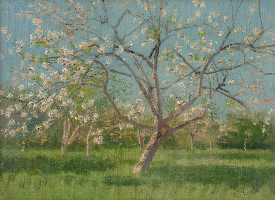 Étude d’arbres en fleurs dans un verger – László Mednyánszky
