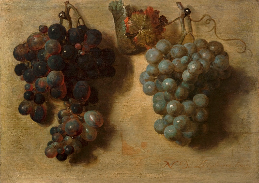Deux grappes de raisin - Nicolas de Largillière