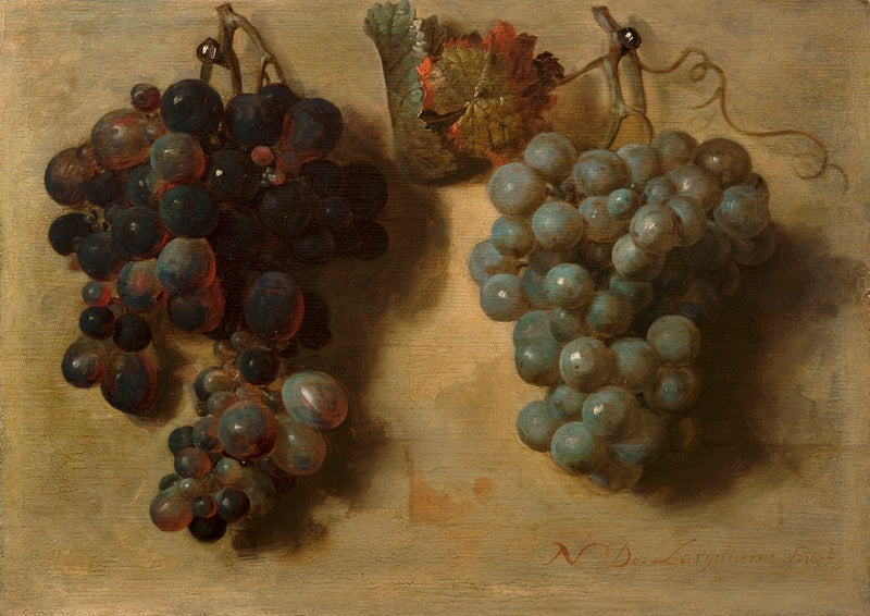 Deux grappes de raisin - Nicolas de Largillière