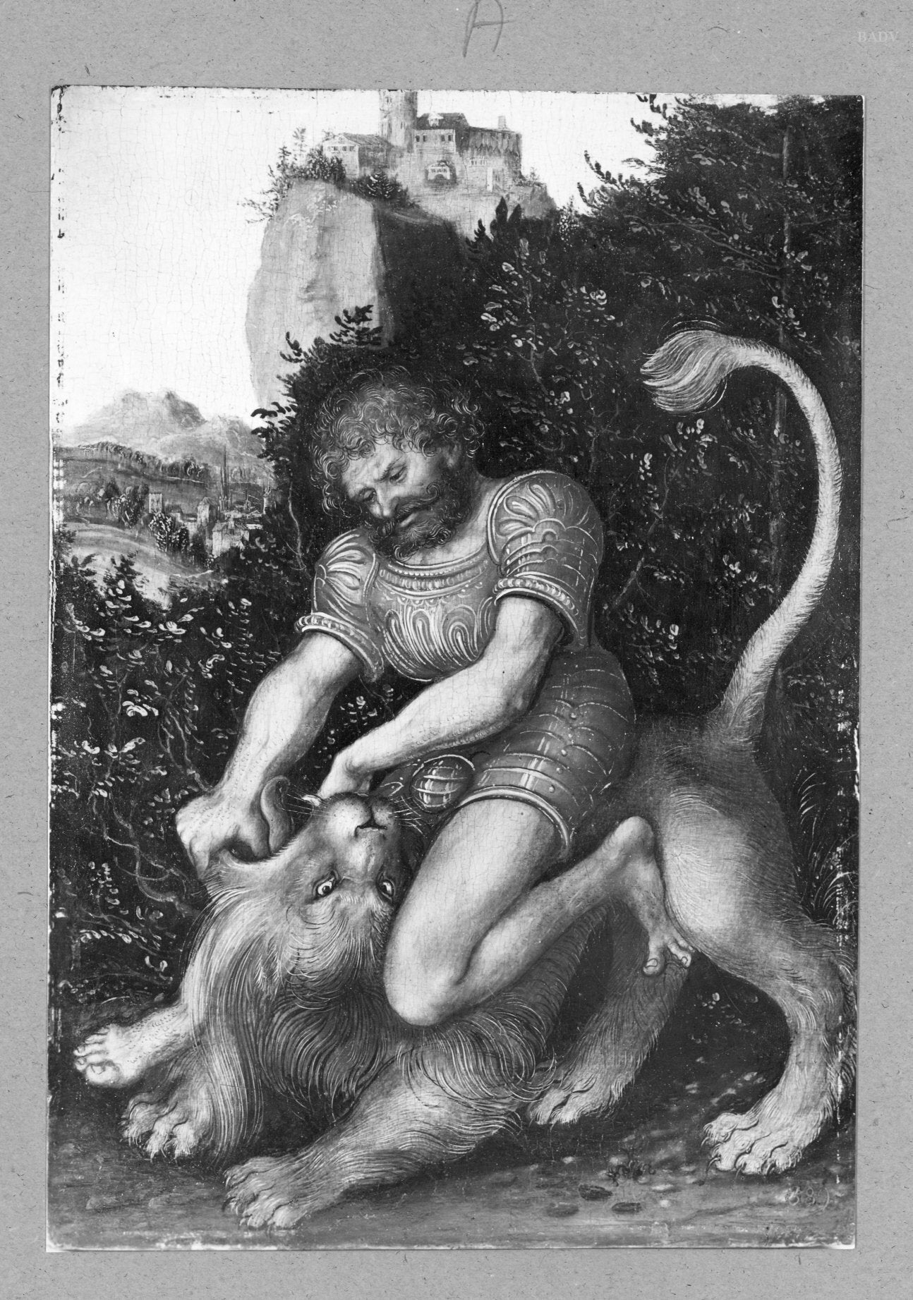 Samson terrassant le lion - Lucas Cranach the Elder