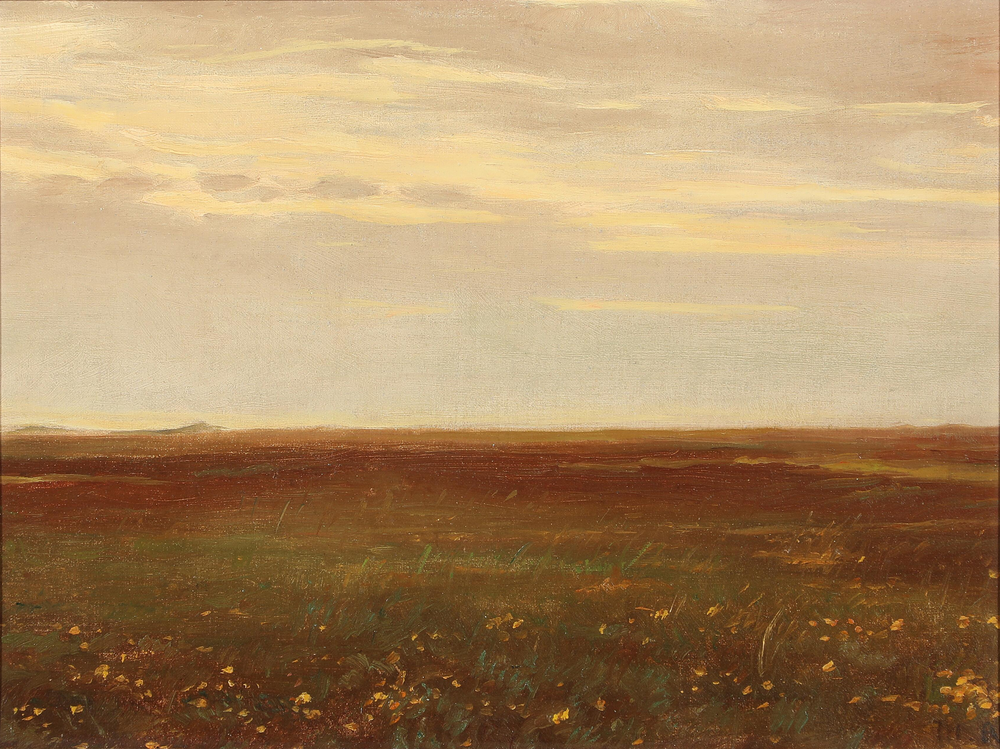 Paysage avec des fleurs sauvages. - Michael Peter Ancher - Alpha Reproduction