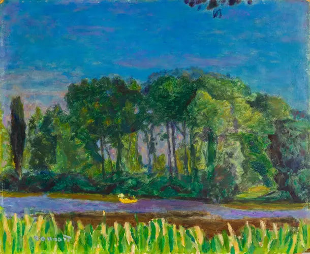 ضفاف السين - بيير بونار