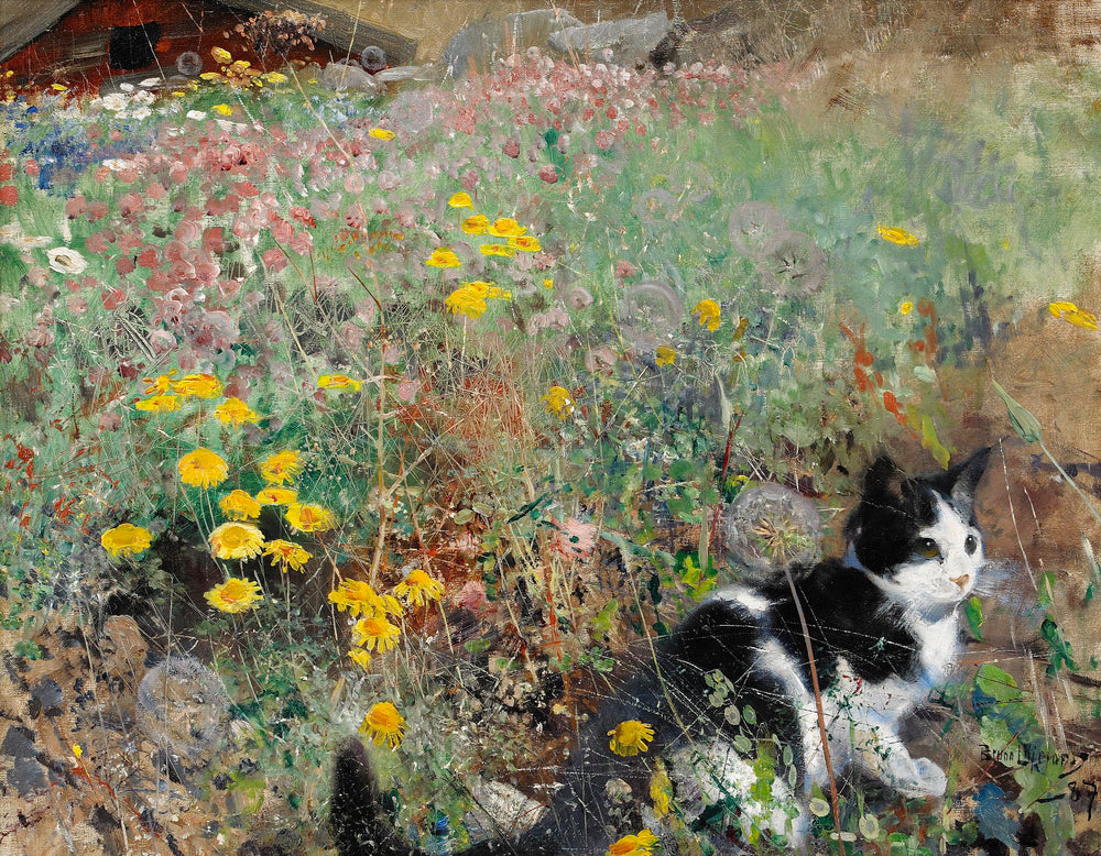 Chat dans une prairie fleurie - Bruno Liljefors