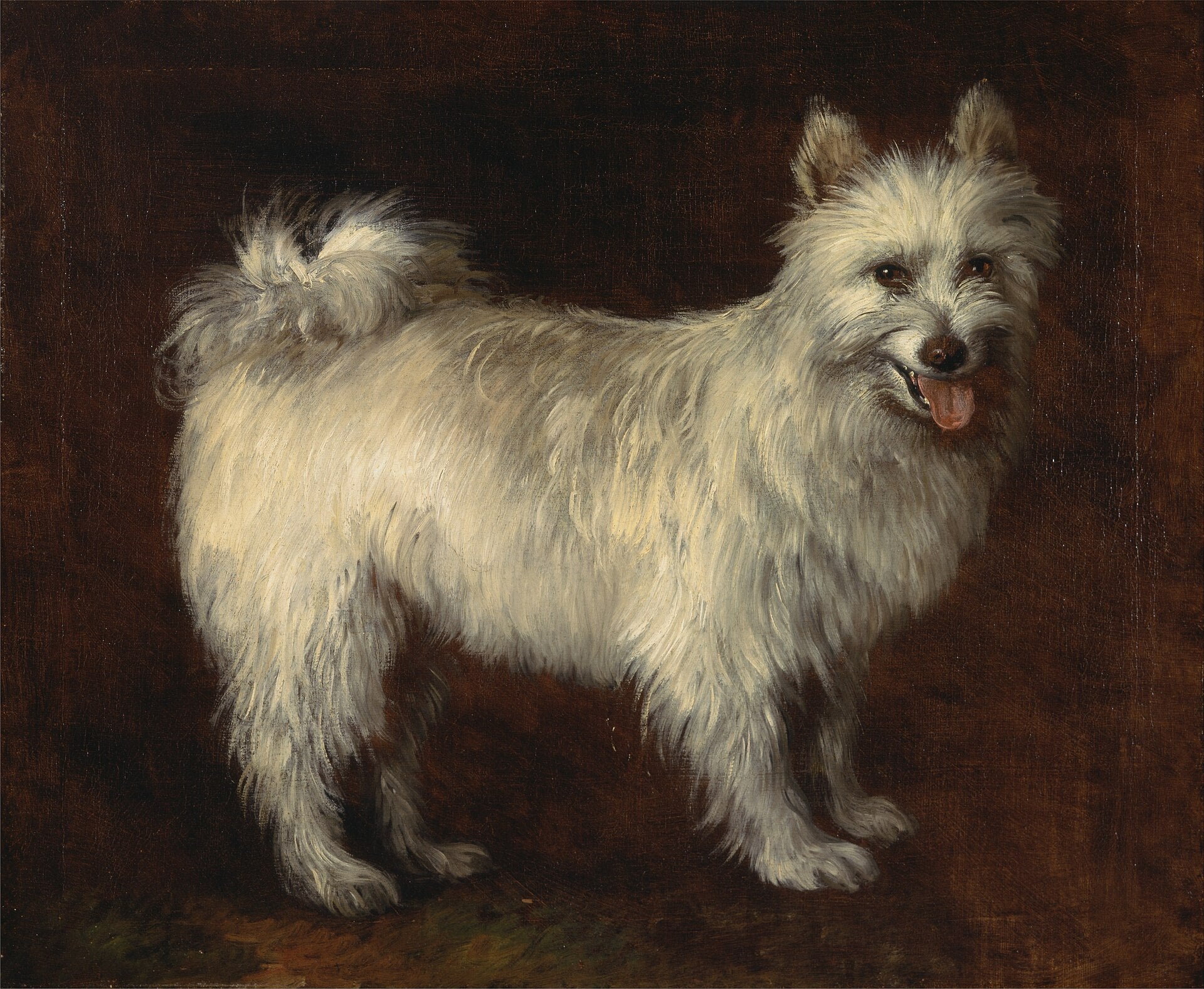 Chien Spitz - Thomas Gainsborough