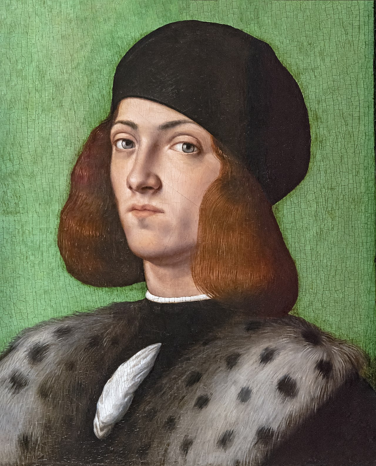 Portrait d'un jeune homme au bonnet noir - Andrea Previtali