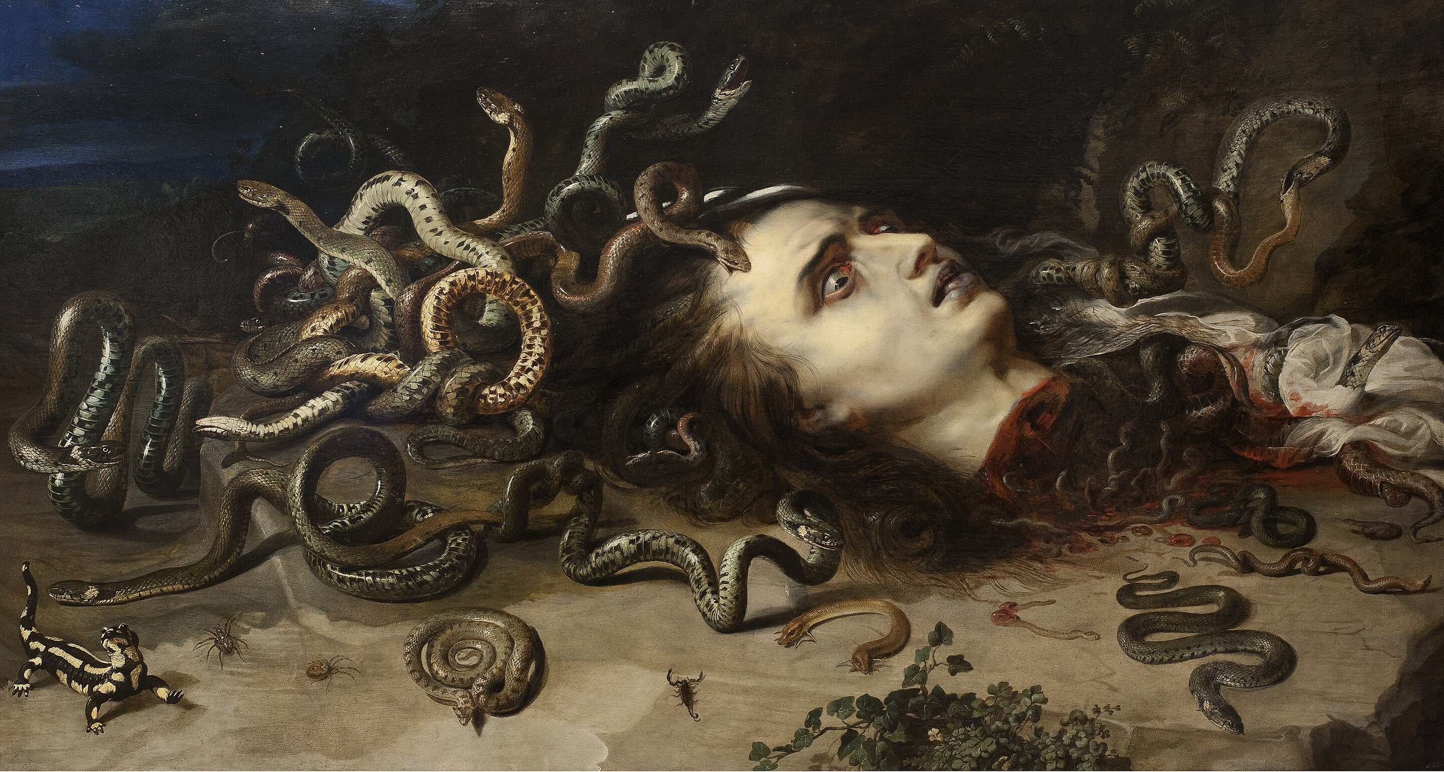 Tête de Méduse - Peter Paul Rubens