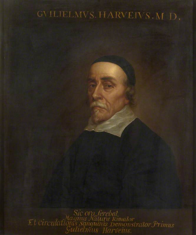 William Harvey (1578–1657) - Peter Lely