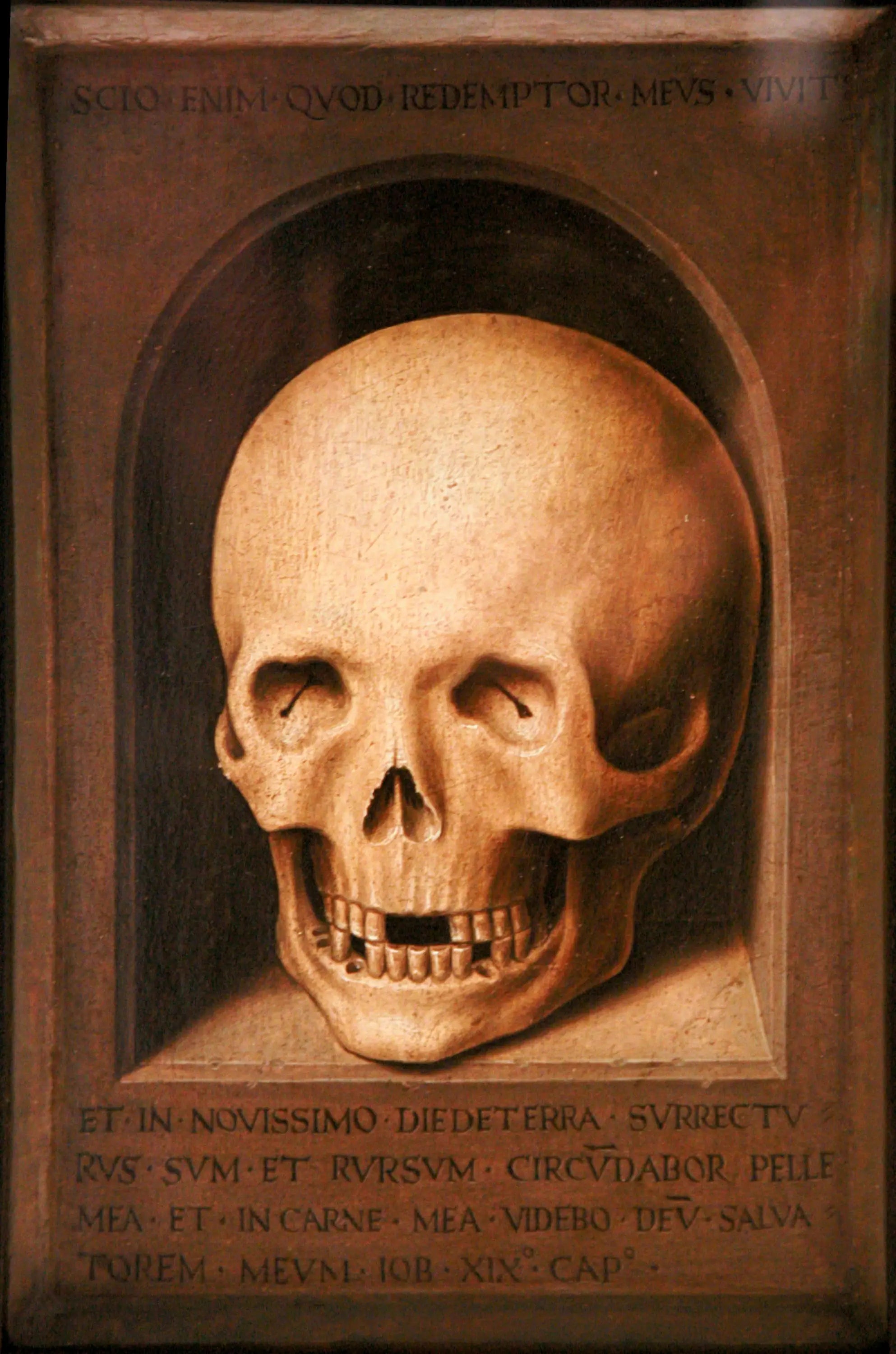 Une tête de mort - Hans Memling - Alpha Reproduction