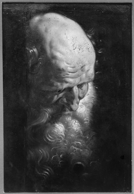 Étude de la tête d'un vieil homme - Peter Paul Rubens