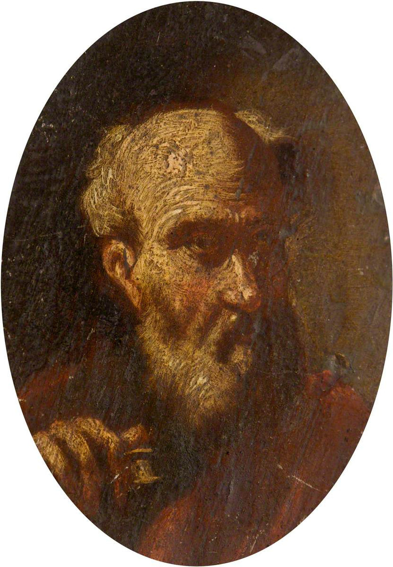Tête d'un vieil homme - Salvator Rosa