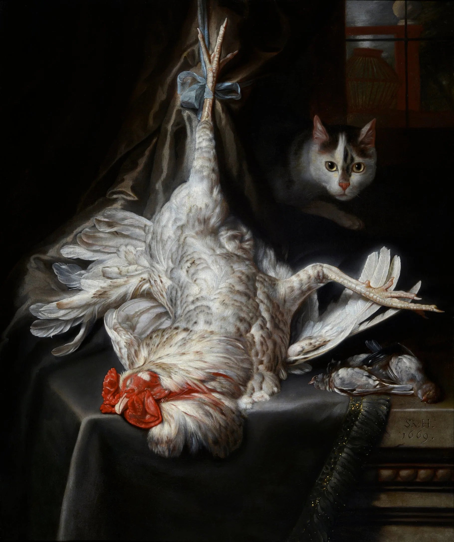 Nature morte d'oiseaux avec chat - Samuel van Hoogstraten image 1 copie de tableau peinte à la main