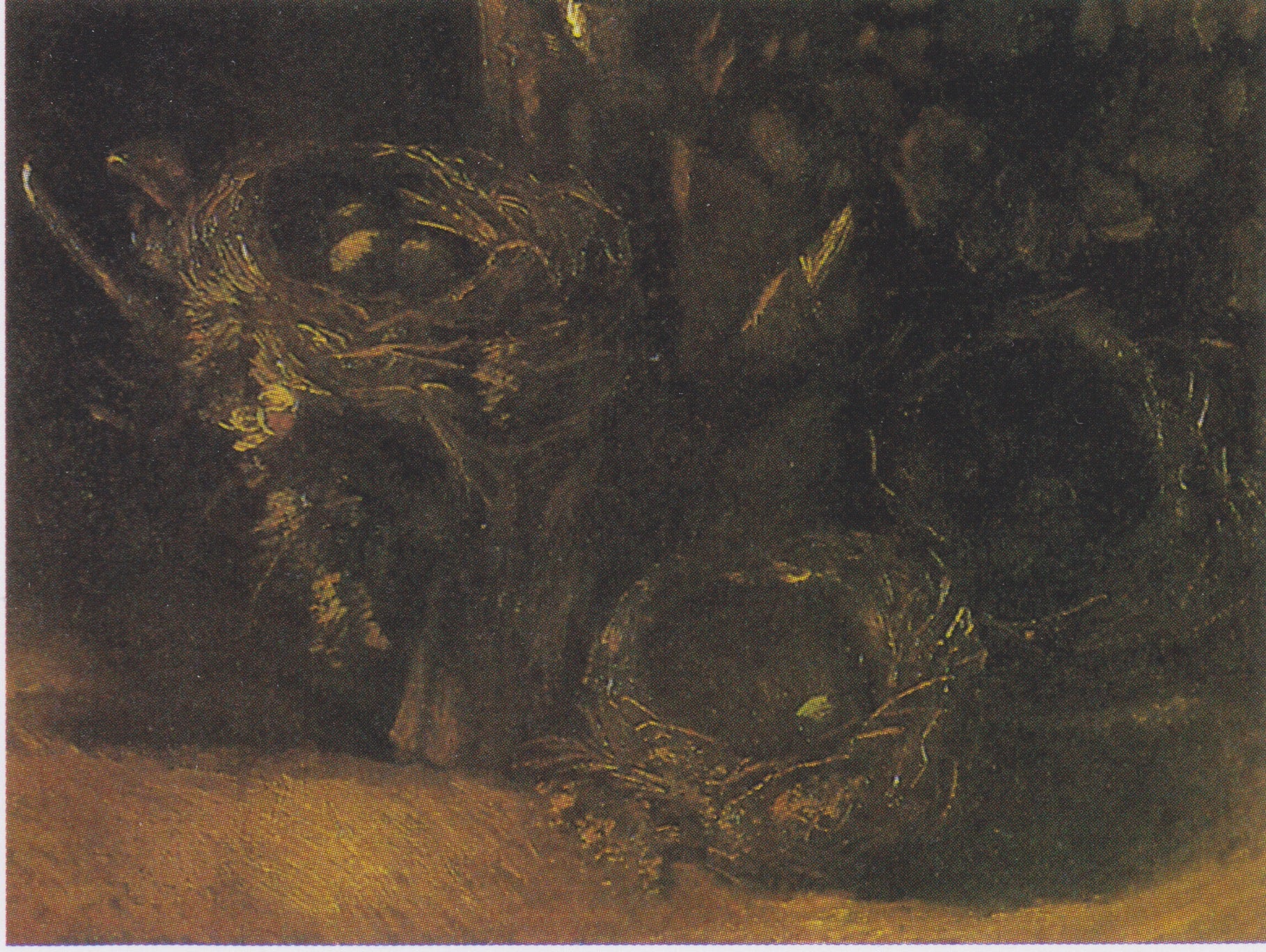 Reproduction du tableau « Nature morte aux trois nids d'oiseaux - Vincent van Gogh » par Alpha Reproduction en peinture à l’huile