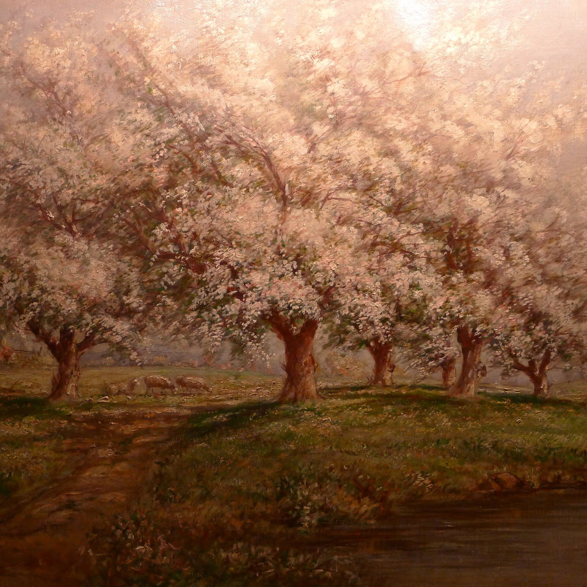 Fleurs de pommier, peinture de Verner Moore White