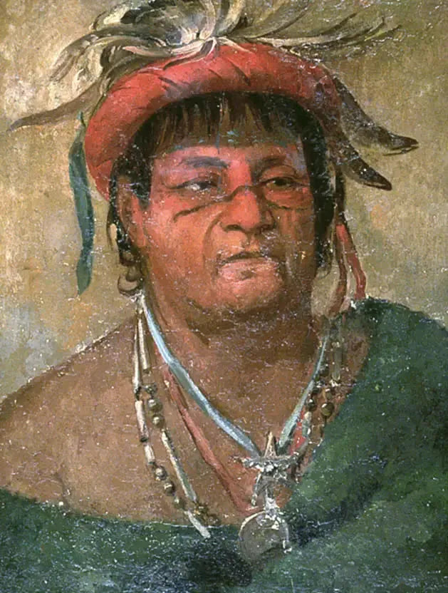 Aúh-ka-nah-paw-wáh, Terre debout, un vieux et vaillant guerrier - George Catlin image 1 reproduction de peinture à l’huile