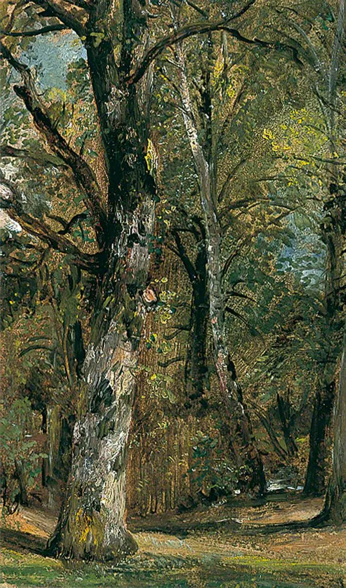 شارع الأشجار - جون كونستابل