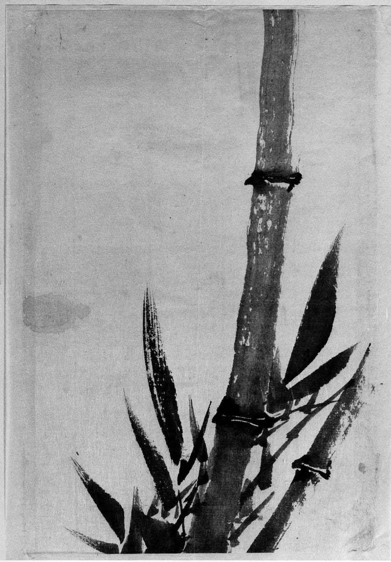 بامبو - هوكوساي