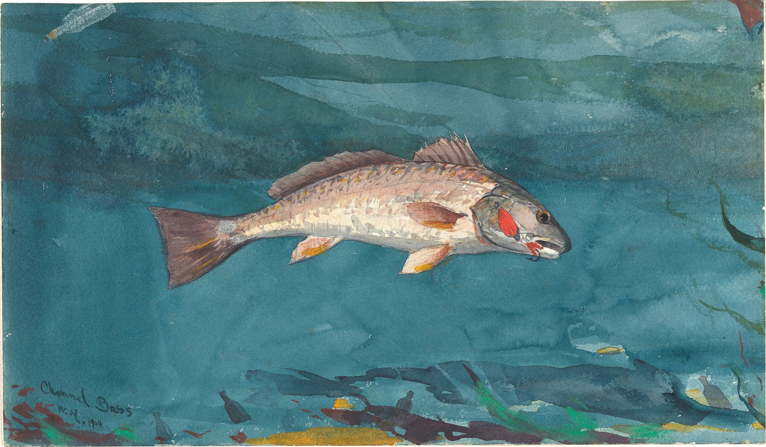 Basse de canal - Winslow Homer image 1 reproduction réalisée par Alpha Reproduction