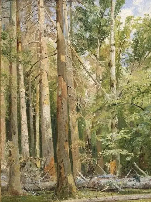 بيلوفيش - إيفان تشيشكين