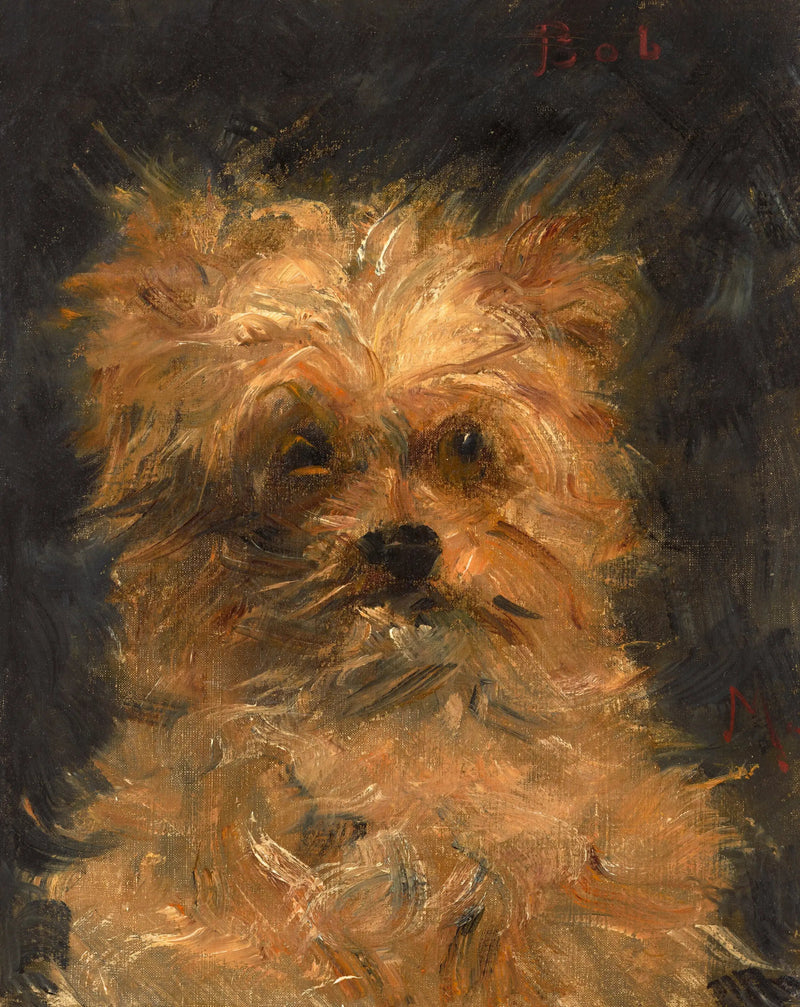بوب، كلب غريفون - إدوارد مانيه