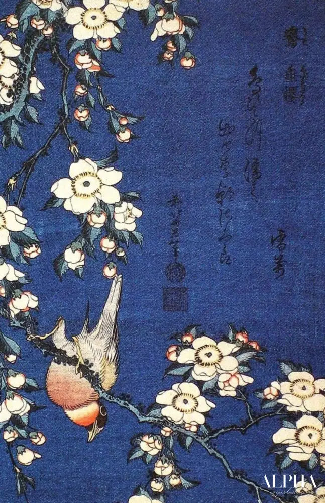 bouvreuil et fleurs de cerisier pleureur - Katsushika Hokusai - Reproductions de tableaux et peintures haut de gamme