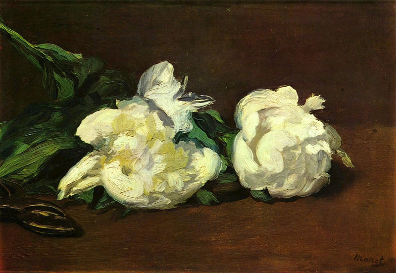 فرع من زهور الفاوانيا البيضاء ومقص - إدوارد مانيه