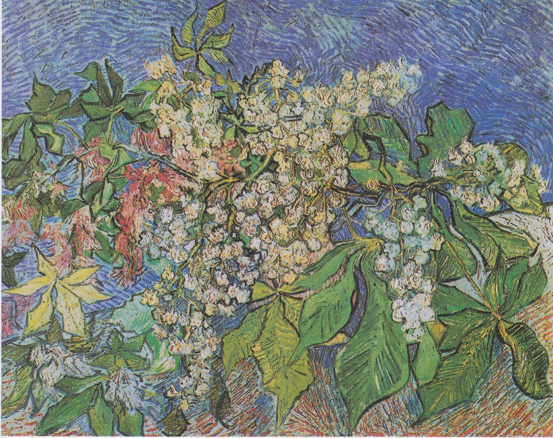 Branches de marronnier en fleurs, nature morte de Vincent van Gogh, mai 1890