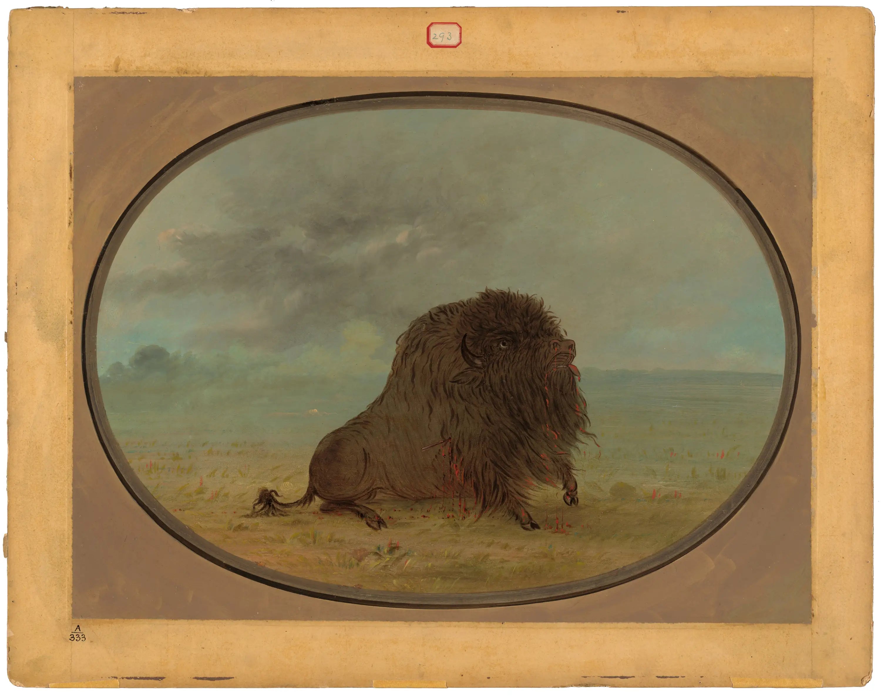 Buffle mâle mourant - George Catlin - Alpha Reproduction