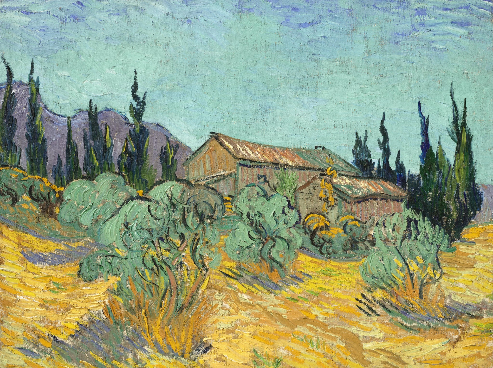 Cabanes de bois parmi les oliviers et cyprès de Vincent van Gogh, F623, collection particulière